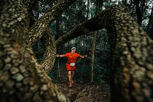 BIB: 
                            <button type="button" onclick="openModal(25675531)" class="btn btn-primary btn-sm float-right btn-popup" data-toggle="modal" data-target=".modal-high-quality">
                        <i class="fas fa-shopping-cart"></i> Add to Cart
                    </button>
                                            <button type="button" onclick="isThisMe(25675531, true)" class="btn btn-success btn-sm float-right btn-popup btn-isme hidden" data-toggle="tooltip" data-placement="bottom" title="นี่คือรูปของคุณใช่ไหม คลิกที่นี่เพื่อเอาเข้าอัลบั้ม">
                        <i class="fas fa-plus"></i> Add to album
                    </button>
                    <button type="button" onclick="isThisMe(25675531, false)" class="btn btn-warning btn-sm float-right btn-popup btn-isnotme hidden">
                        <i class="fas fa-ban"></i> Remove from album
                    </button>